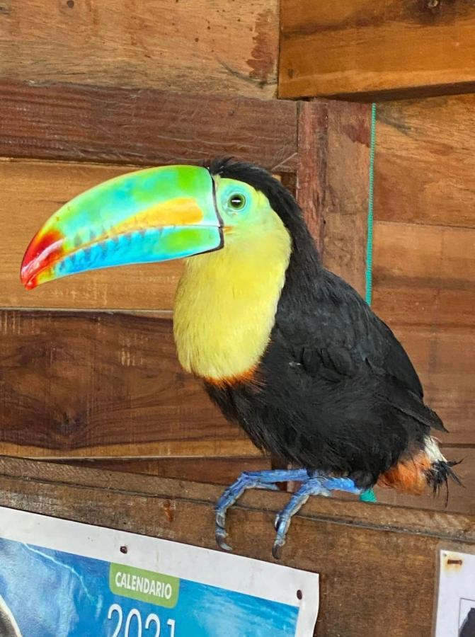 Palm Beach Hostal Guachaca ภายนอก รูปภาพ